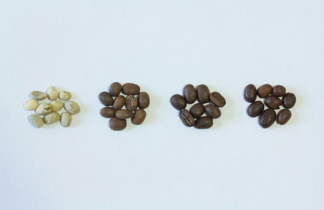 Röstgrad hell, mittel, dunkel: Rohkaffee und drei unterschiedlich geröstete Kaffeebohnen nebeneinander