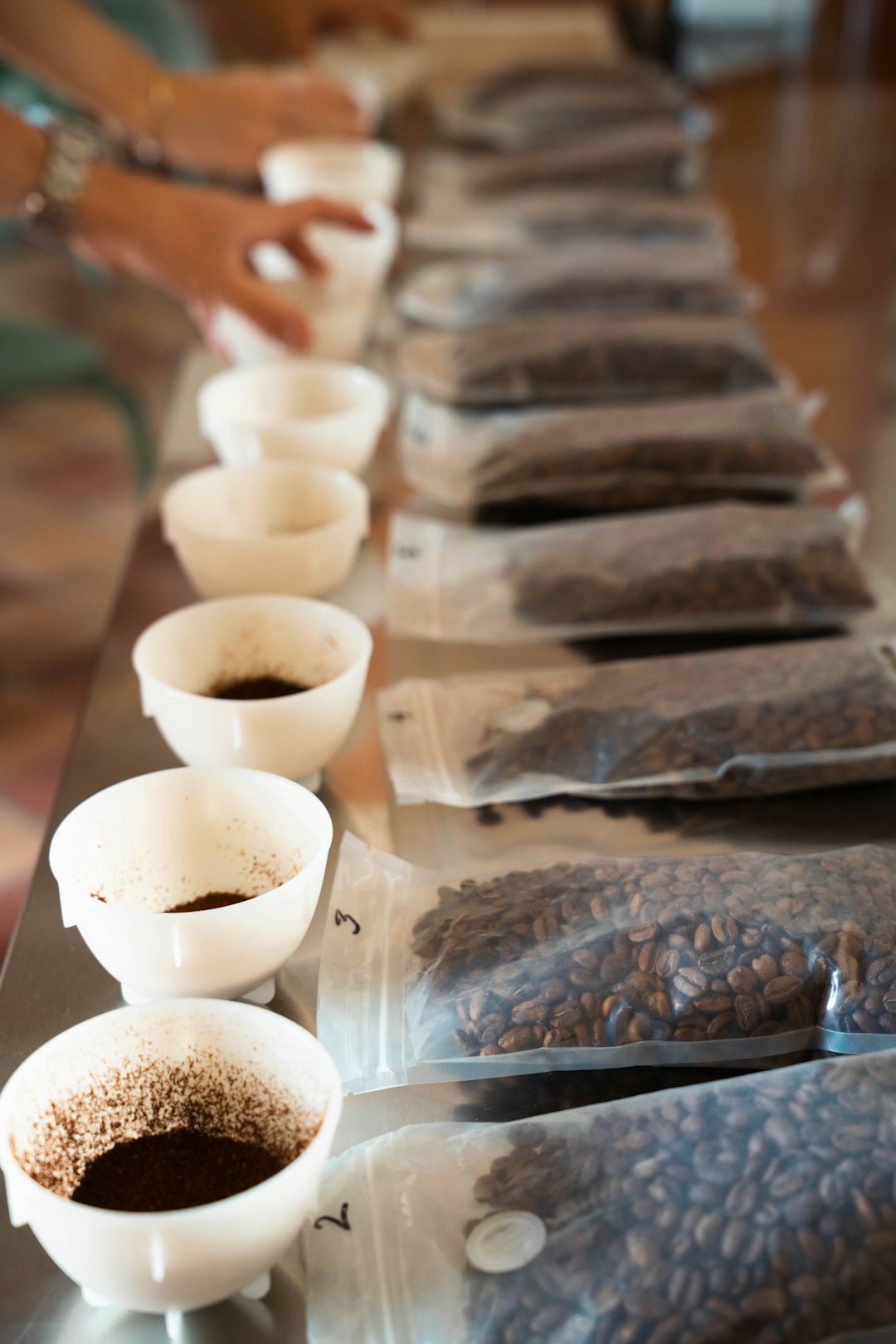 Reihe weißer Cupping-Schalen mit frisch gemahlenem Kaffee neben nummerierten Beuteln mit Röstkaffee