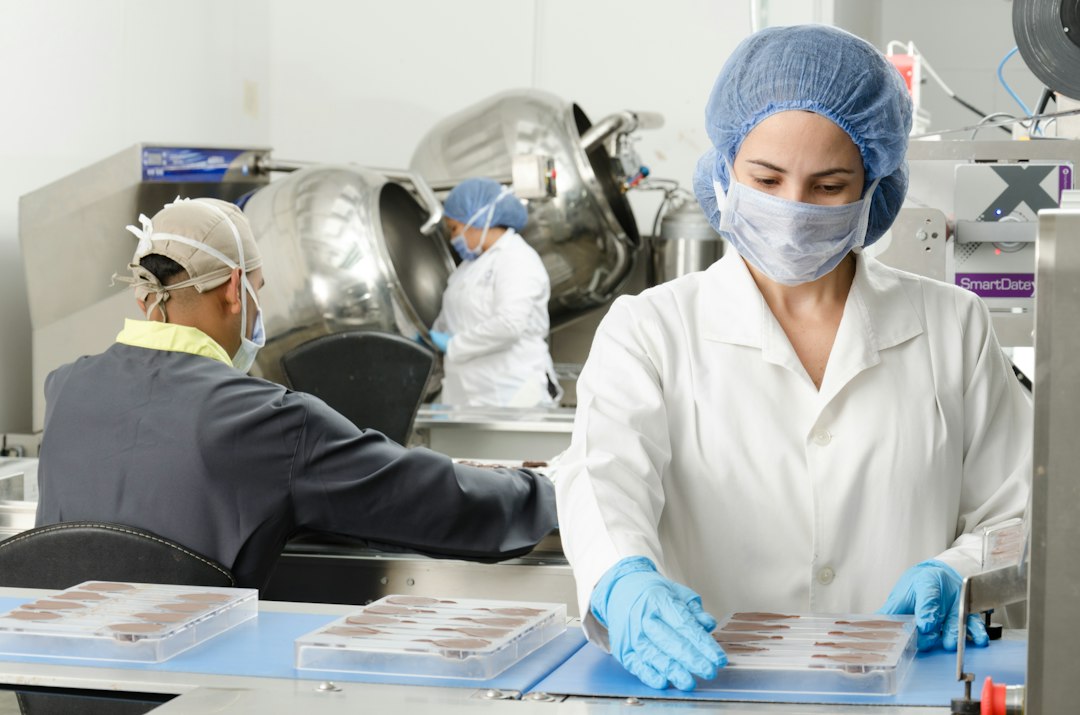 View of production in a chocolate factory