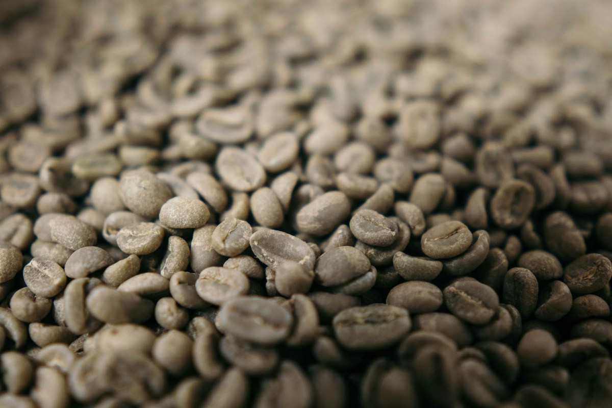 Nahaufnahme von Kaffeebohnen als Symbolfoto für den Kaffeemarkt