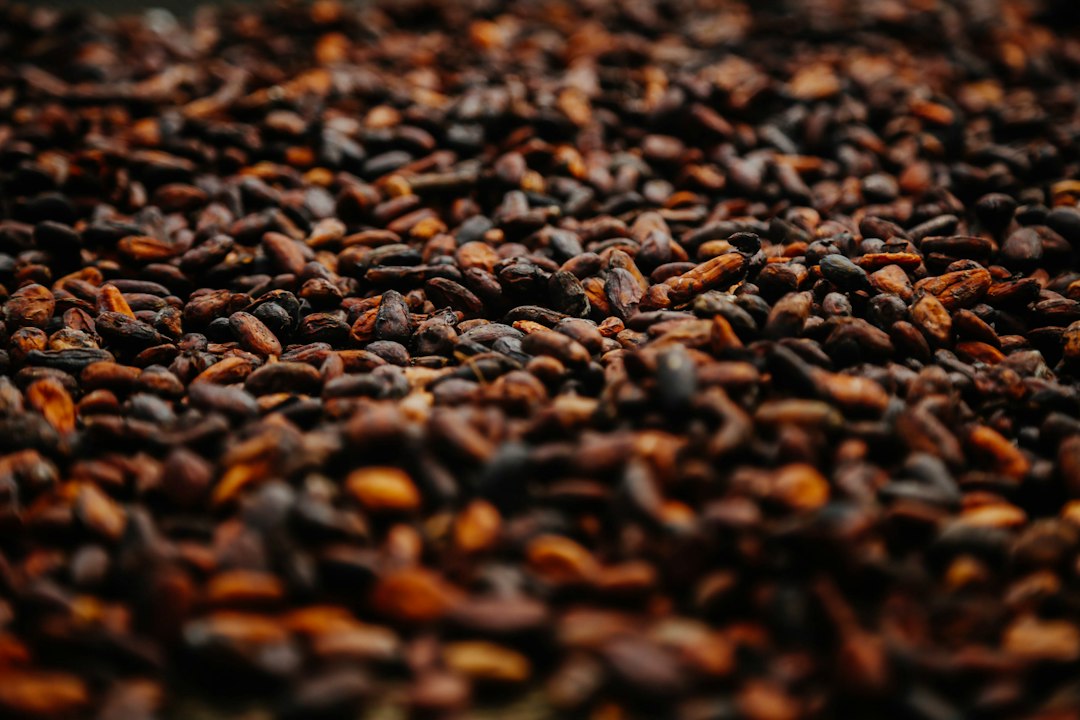 Cocoa beans