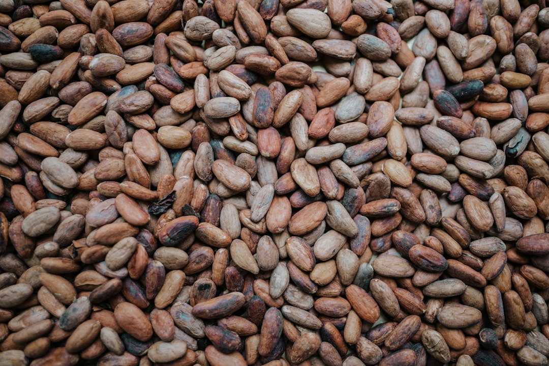 Cocoa beans from Belize at a chocolate maker in Berlin