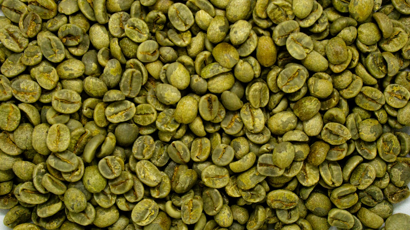 Ungeröstete Kaffeebohnen: Um Kaffee entkoffeinieren zu können, behandeln klassische Verfahren den Rohkaffee vor dem Rösten