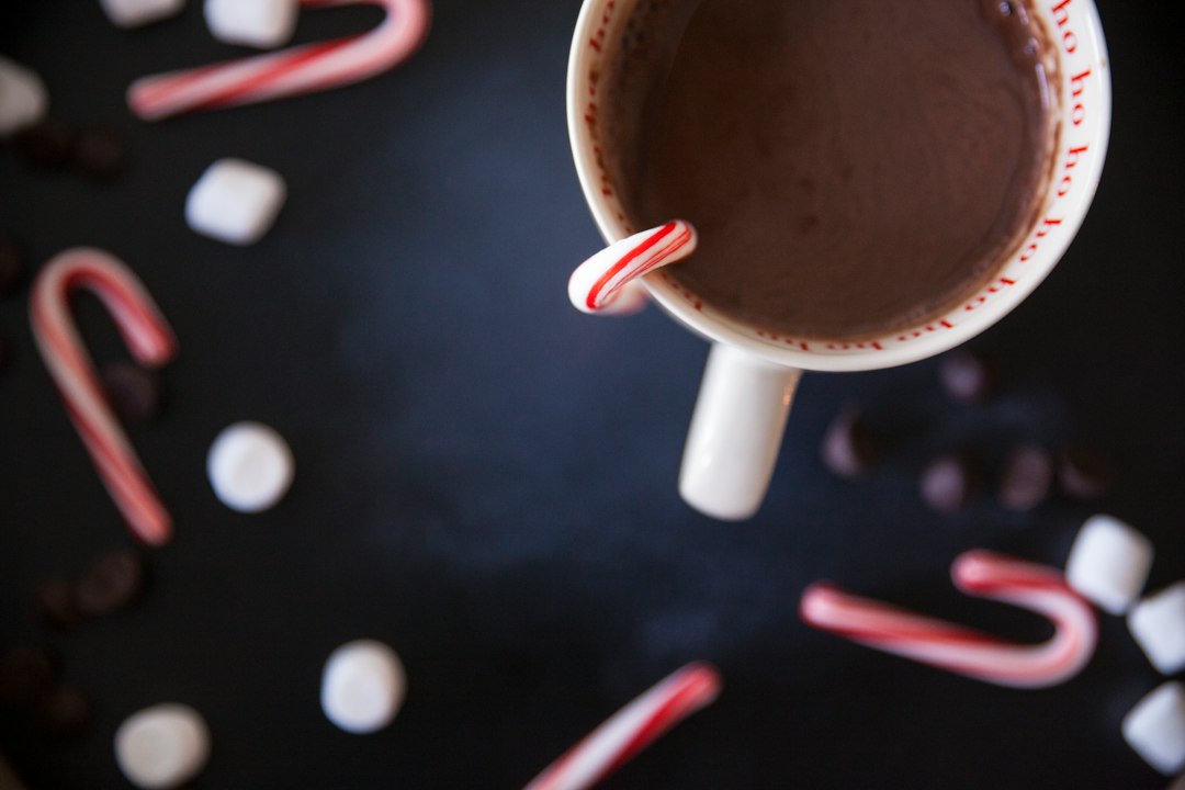 A cup of hot cocoa