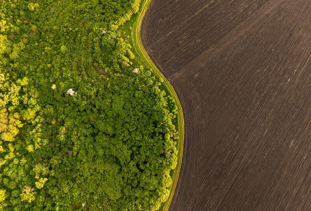 Aerial view: green forest bordering farmland with dark soil